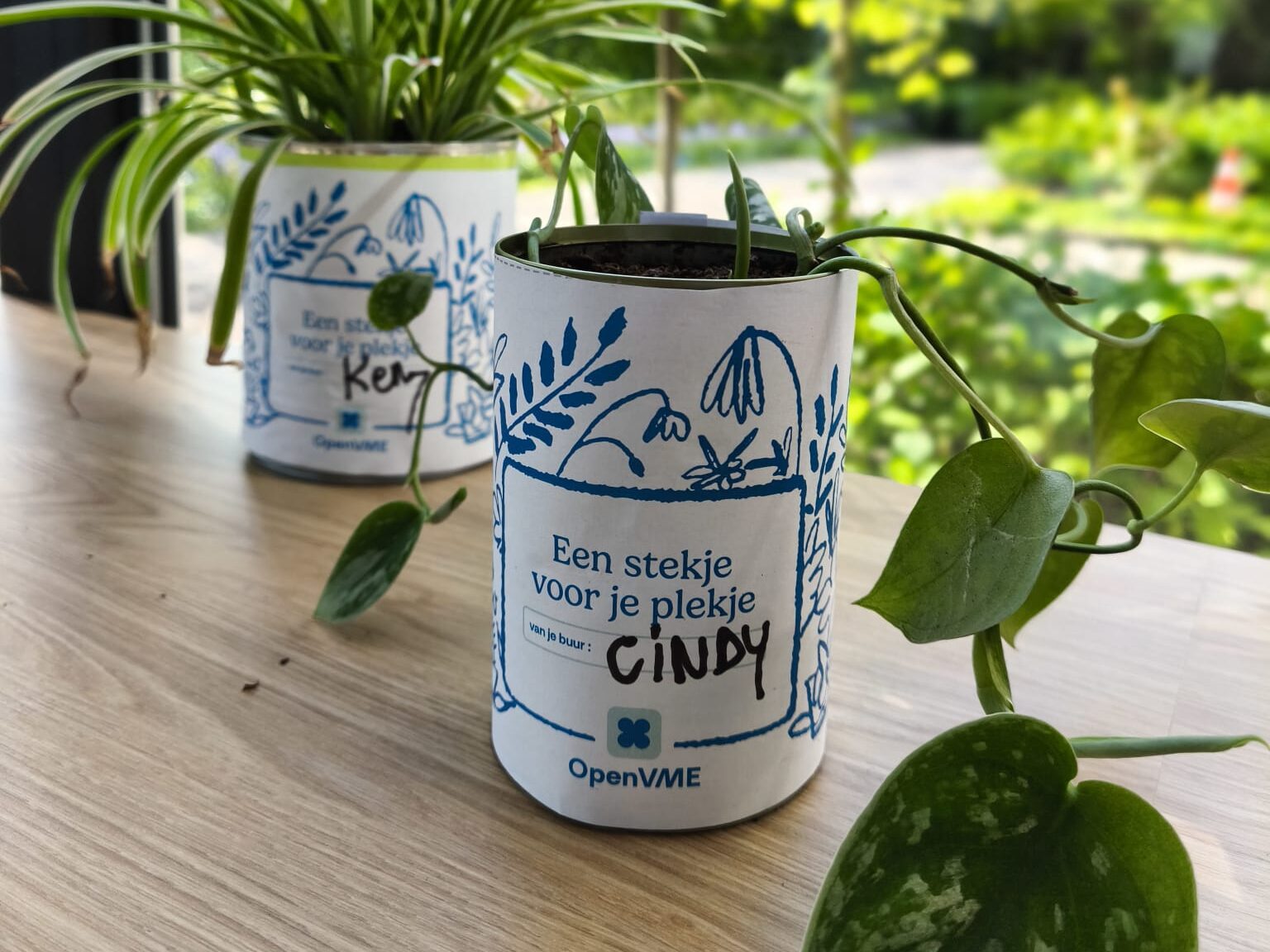 Een stekje voor je plekje🌱